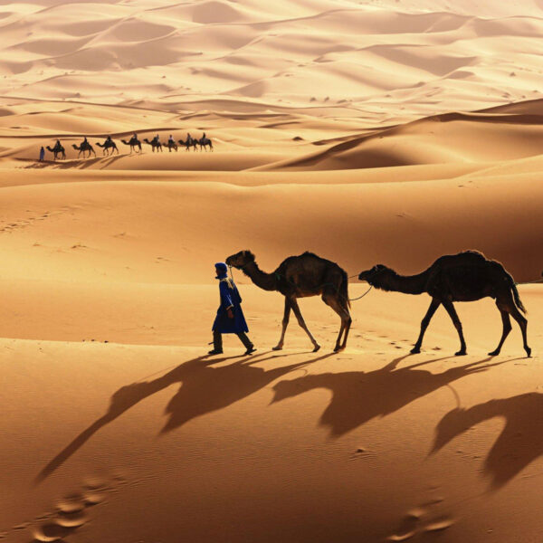 Top Tours from Marrakech, 3 Days Marrakech to Merzouga