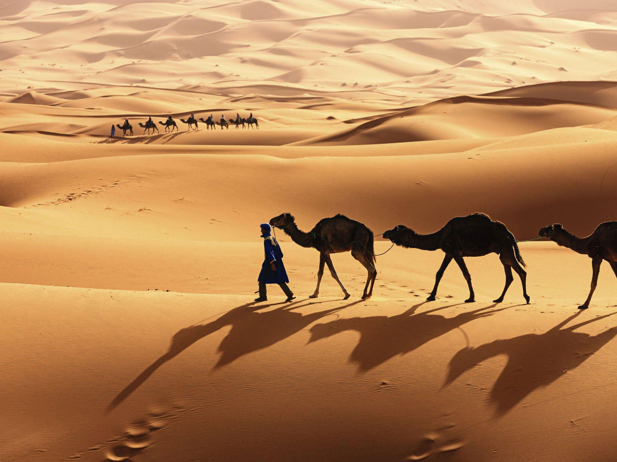 Top Tours from Marrakech, 3 Days Marrakech to Merzouga