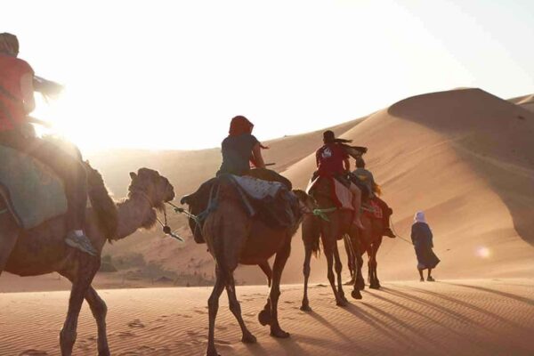 1-Hour Camel Ride in Erg Chigaga