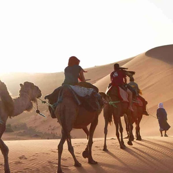 1-Hour Camel Ride in Erg Chigaga