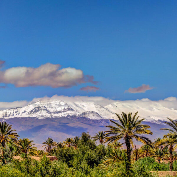 3 Days Desert Exploration, Tours from Marrakech