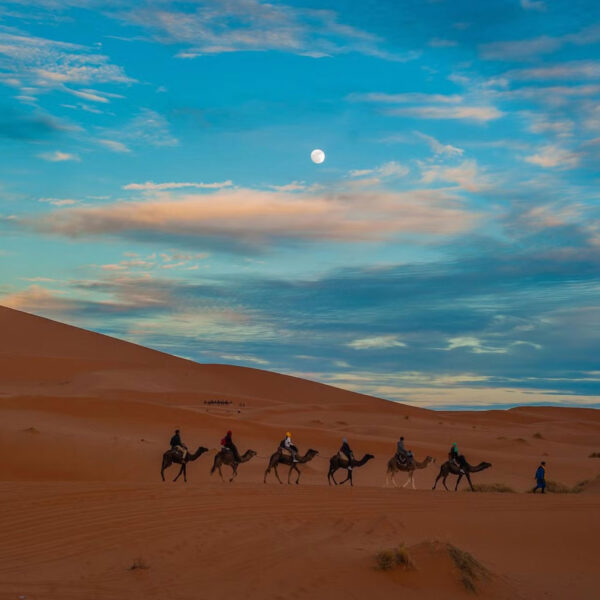 Half-Day Camel Trek Chegaga Desert