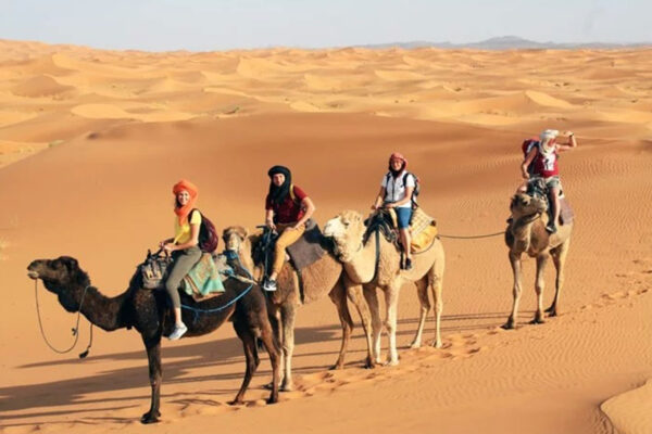 Half-Day Camel Trekking