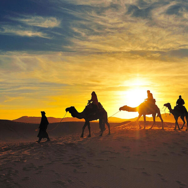 4WD Chegaga Excursion, Nomad Tea, and Picnic Lunch, Half-Day Camel Trekking