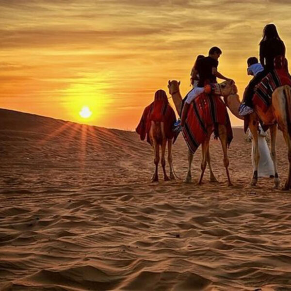 Morocco Sahara desert, Half-Day Camel Trekking
